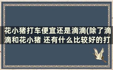 花小猪打车便宜还是滴滴(除了滴滴和花小猪 还有什么比较好的打车司机端)